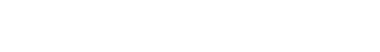 Elektronic Serwis